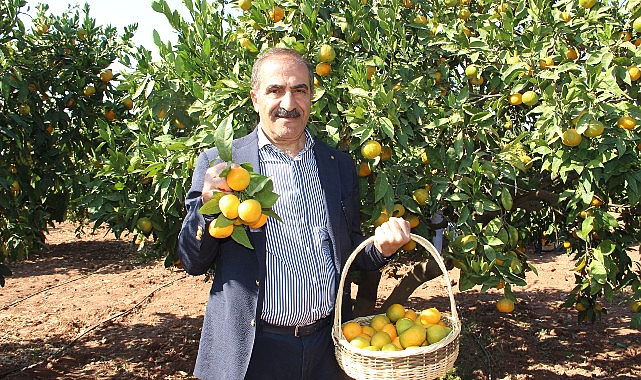 Narenciye bölümü KKTC’de görülen yeşillenme hastalığının Türkiye’ye sıçramaması için topyekûn uğraş istiyor