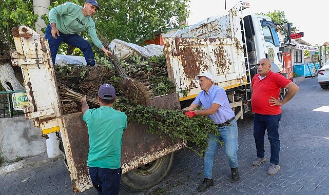 Buca Belediyesi, ziraî üretimde çeşitliliği artırmak maksadıyla köyler bölgesinde meyve fidanı dağıtımı yaptı