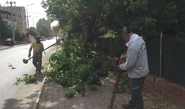 Kemer Belediyesi’nden yeşil alanlarda bakım çalışmaları