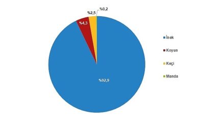 Tüik: Çiğ süt üretimi 2023 yılında %0,4 azalarak 21 milyon 481 bin 567 ton oldu