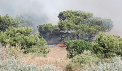 Antalya Büyükşehir İtfaiyesi alevlerle gayret ediyor