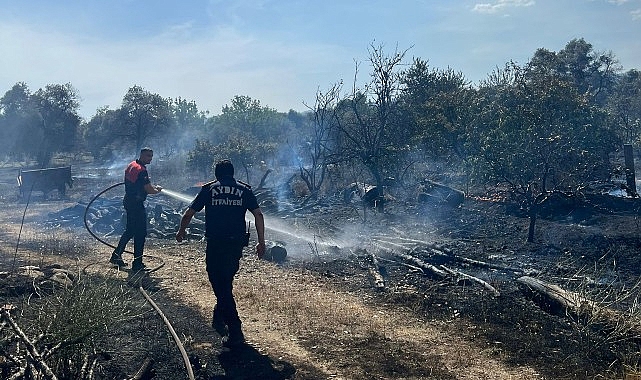 Aydın Büyükşehir Belediyesi İtfaiyesi, bugün öğlen saatlerinde Efeler’in Umurlu Mahallesi’nde çıkan arazi yangınına kısa müddette müdahale ederek bir facianın önüne geçti