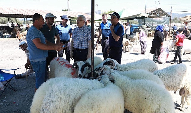 Burhaniye Belediyesi Kurban Bayramı Arifesinde kurban satış ve kesim yerlerini denetledi