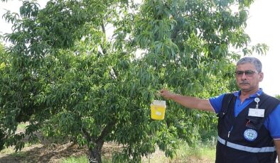 Narenciye İhracatına Büyükşehir Dayanağı