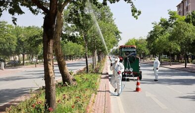 Selçuklu Belediyesi Sıhhat İşleri ile Park ve Bahçeler Müdürlüğü takımları sağlıklı ve pak bir etrafın temini için tüm ilçede haşerelere karşı periyodik olarak ilaçlama çalışmalarını sürdürüyor