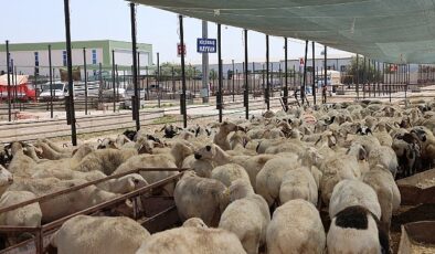 Selçuklu Belediyesi vatandaşların Kurban Bayramı’nı rahat ve huzurlu bir halde geçirmesi için tüm hazırlıkları tamamladı