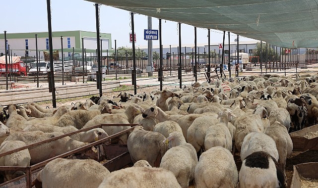 Selçuklu Belediyesi vatandaşların Kurban Bayramı’nı rahat ve huzurlu bir halde geçirmesi için tüm hazırlıkları tamamladı