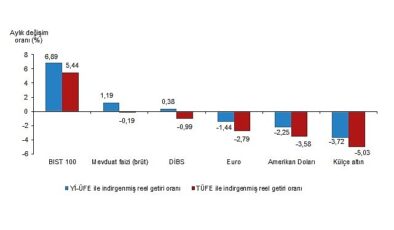 Tüik: Aylık en yüksek gerçek getiri BIST 100 endeksinde oldu