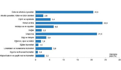 Tüik: Hanehalkı bütçesinden en fazla hisse konut ve kira harcamalarına ayrıldı