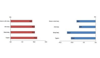 Tüik: Mayıs ayında genel ticaret sistemine nazaran ihracat %11,3 arttı, ithalat %10,4 azaldı