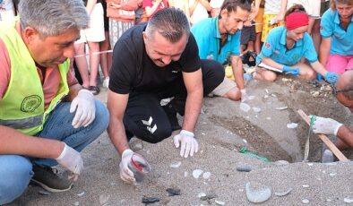 Kemer’de son 30 yılın caretta caretta rekoru bekleniyor