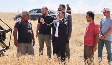 Nevşehir Belediyesi, mülkiyeti kendisine ilişkin olan topraklardan birinci buğday hasadını gerçekleştirdi