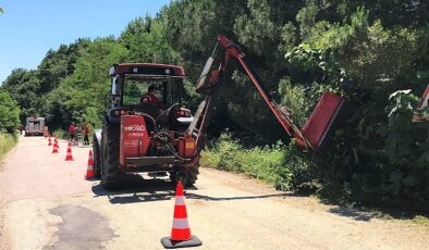 Yol kenarındaki otlar ve çalılar temizleniyor